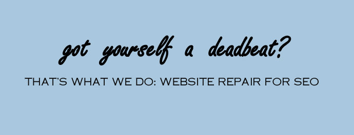 We fix deadbeat websites for SEO performance